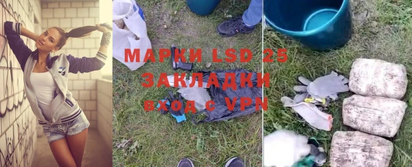 ГАЛЛЮЦИНОГЕННЫЕ ГРИБЫ Беломорск
