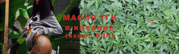 крисы Богородицк